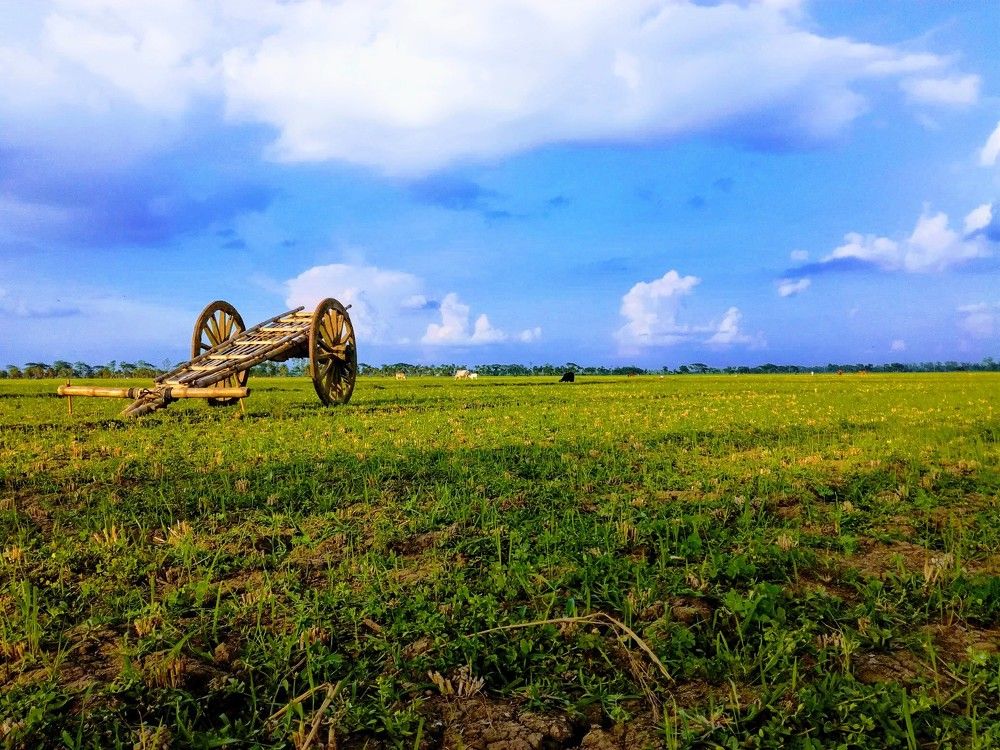 Beauty of Bangladesh
