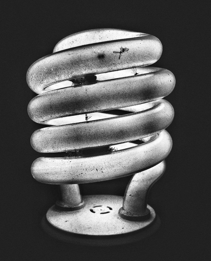 Photograph by Rizve ahmed