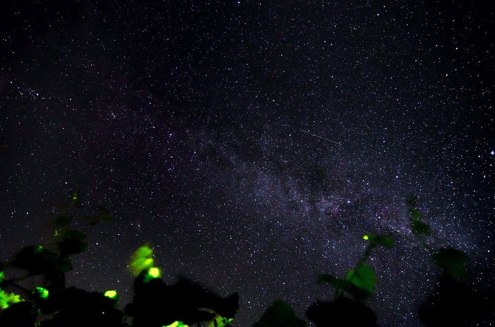 И целый космос во дворе.