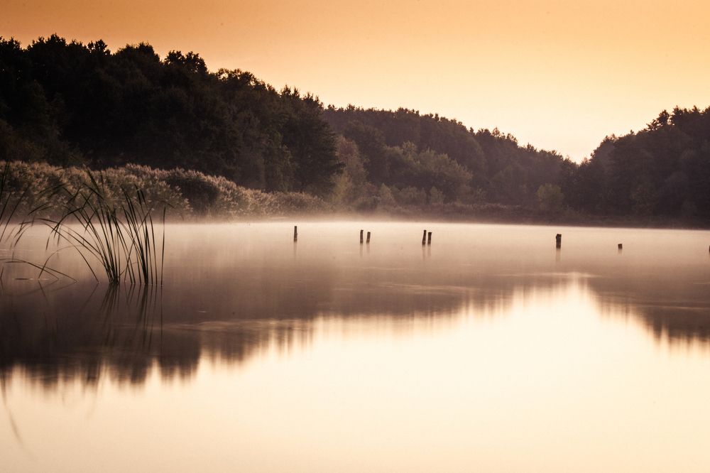 Утренние этюды
