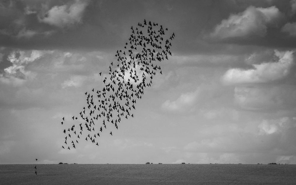 Летные учения