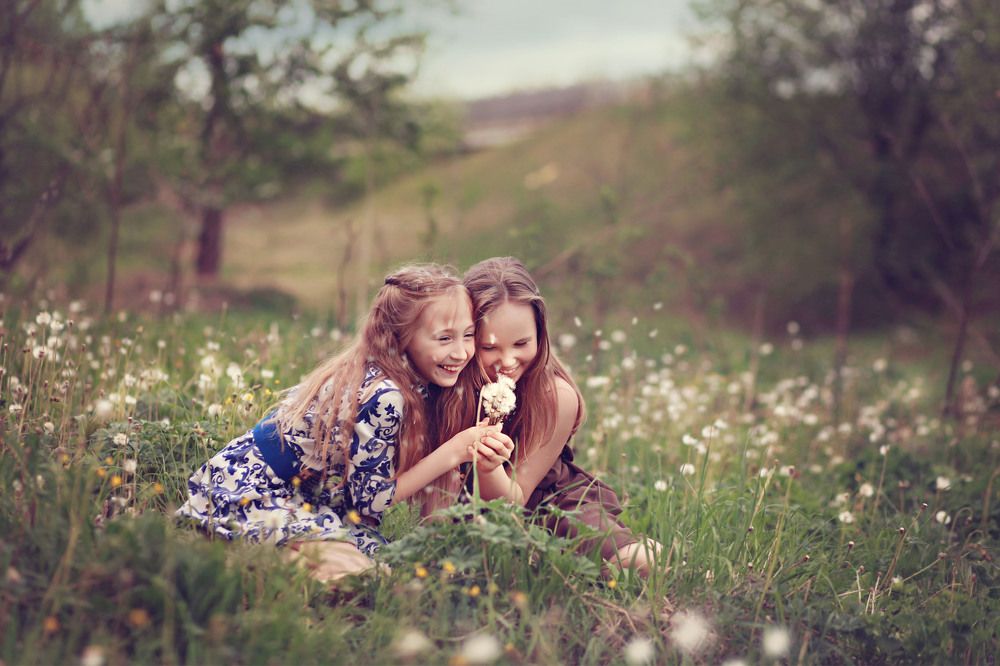 Одуванчики