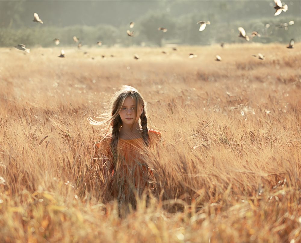 Birds / Воробушки