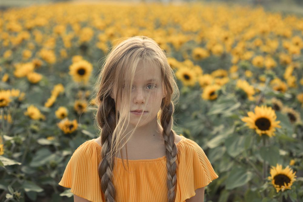 Подсолнухи / Sunflowers