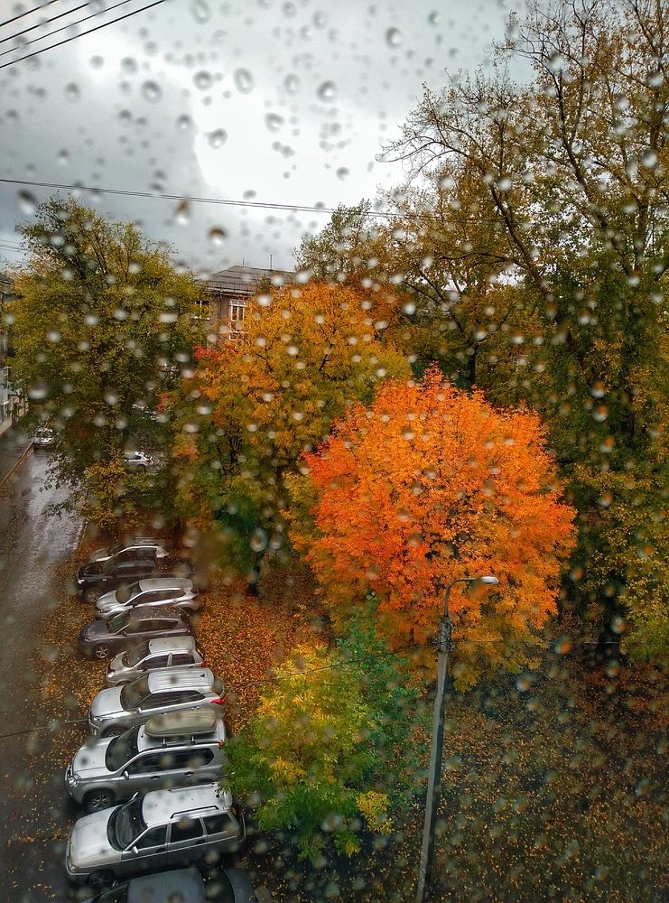 Последний день сентября