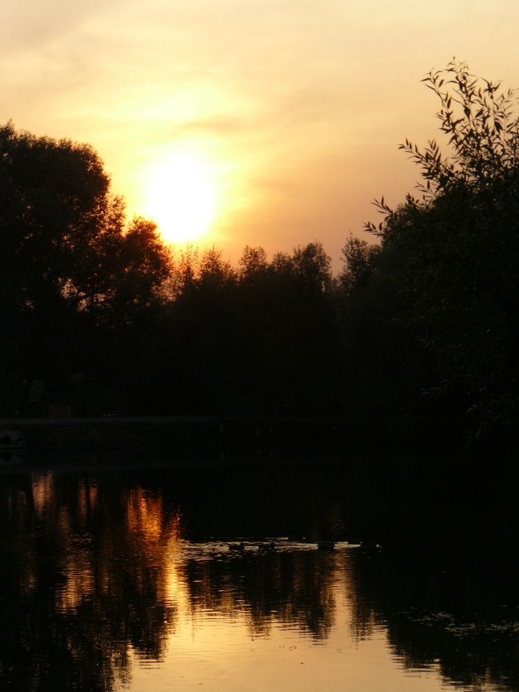 Вечер в Опалихе