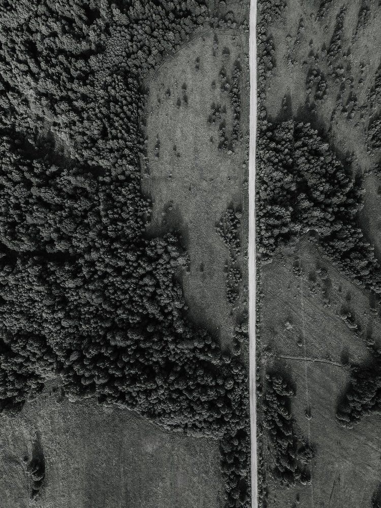 Белая полоса