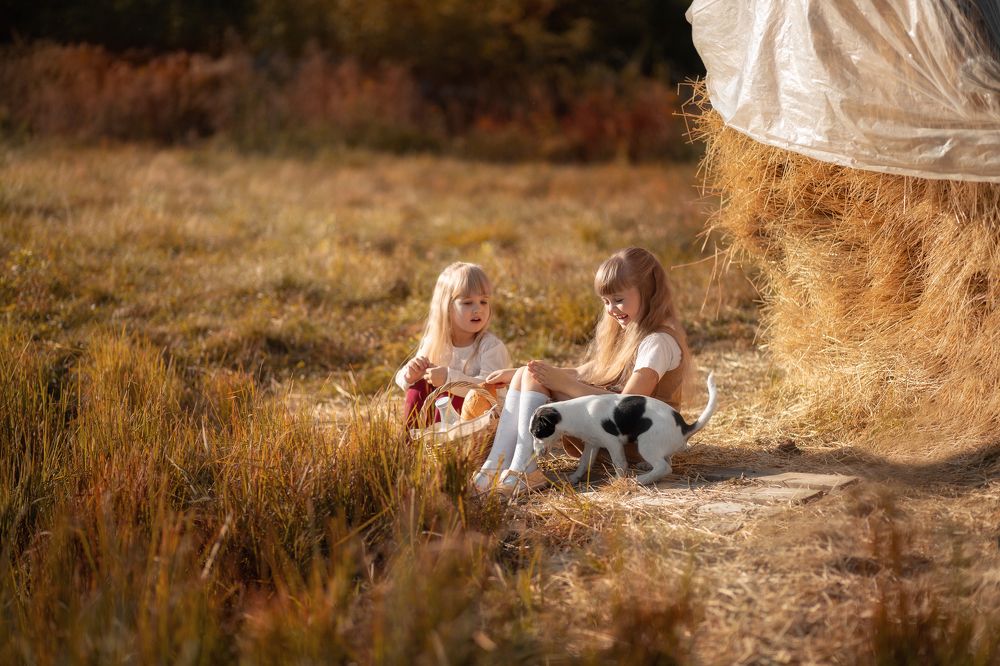 Photograph by Юлия Корягина