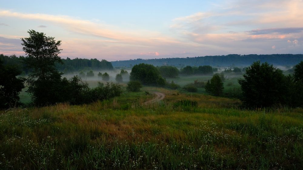 Туман в лугах. Вечер в деревне