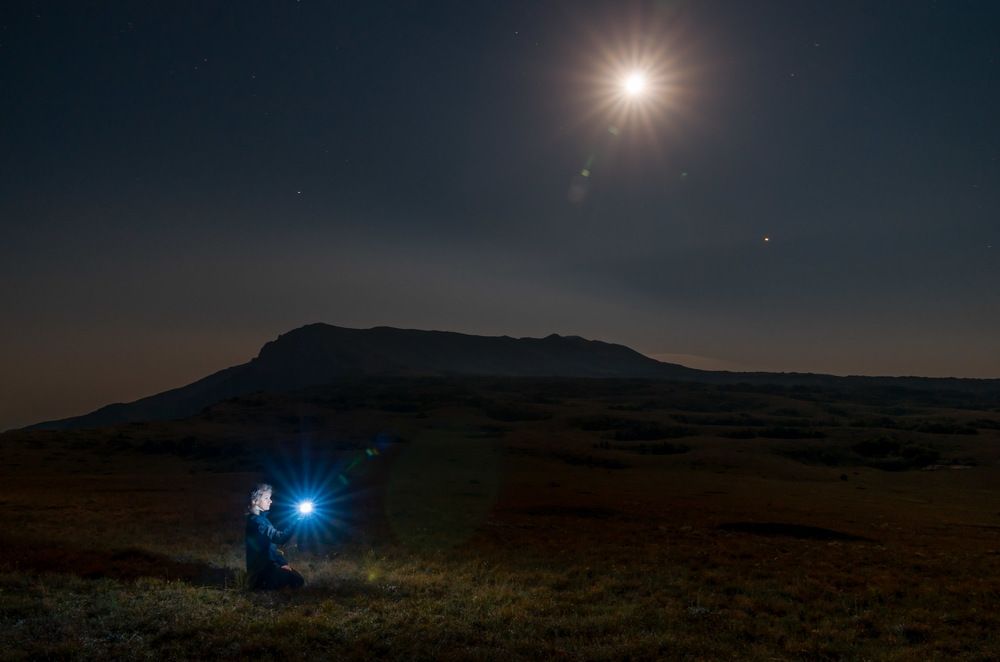 Две звезды.