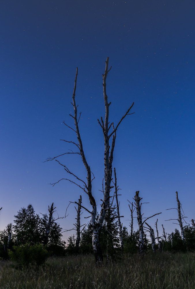 Photograph by Игорь Кляхин