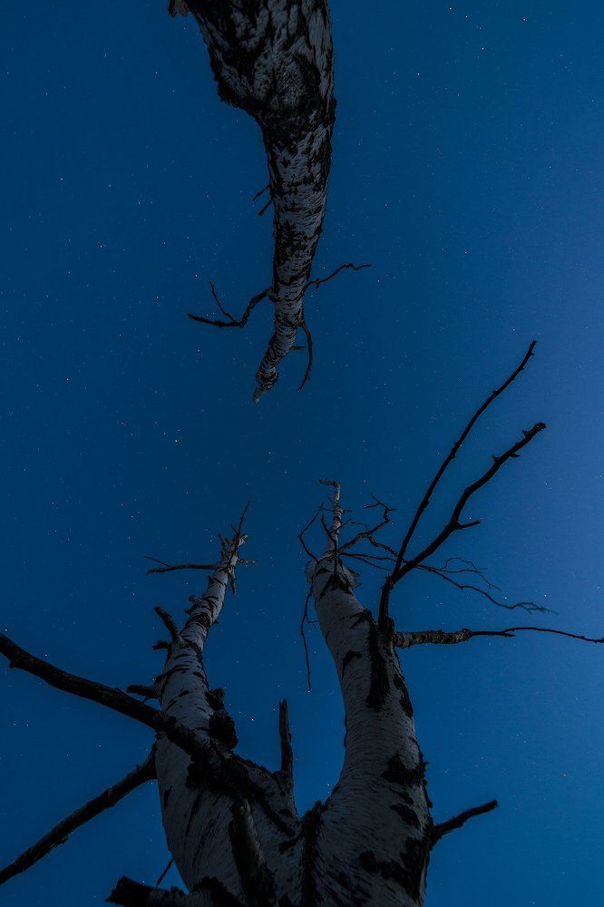 Photograph by Игорь Кляхин