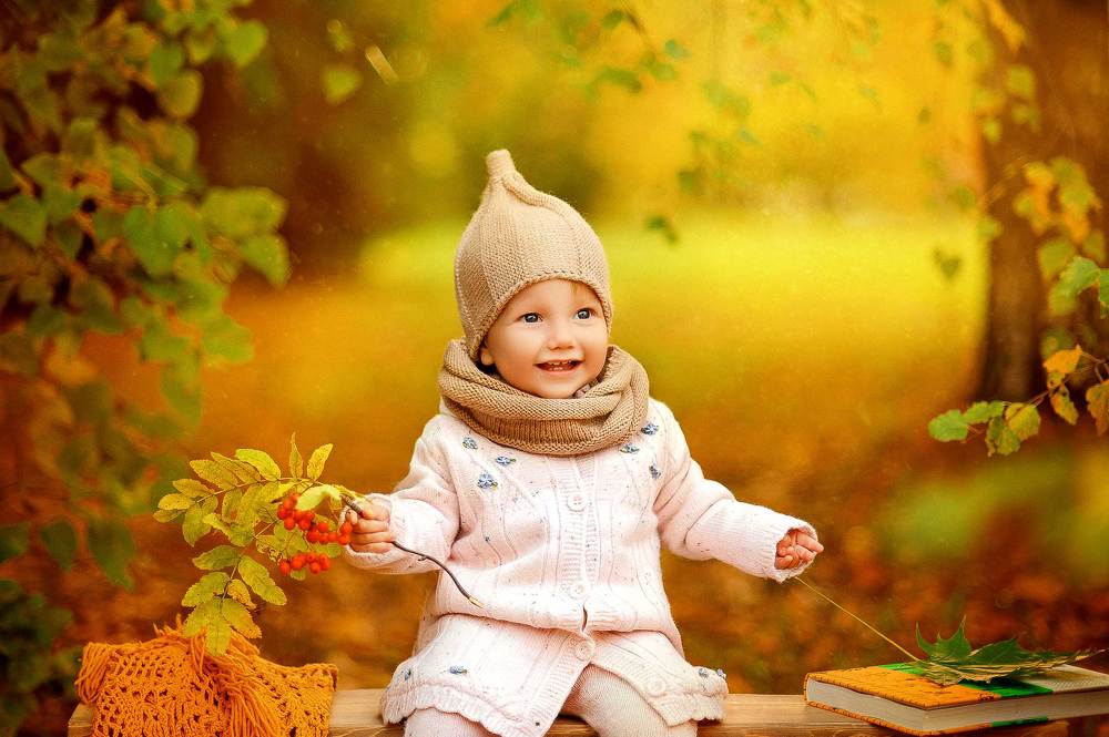 Осенний гномик