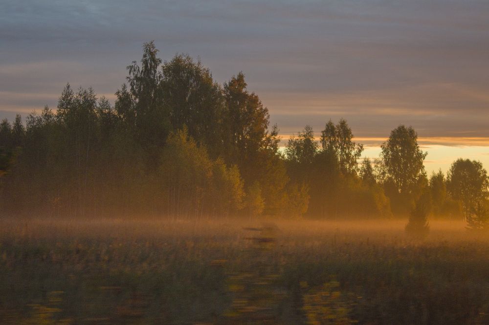 Осень - из окна автомобиля