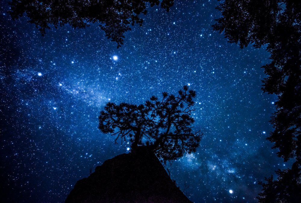 "Властитель вселенной".