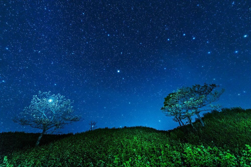 "Двое во вселенной".