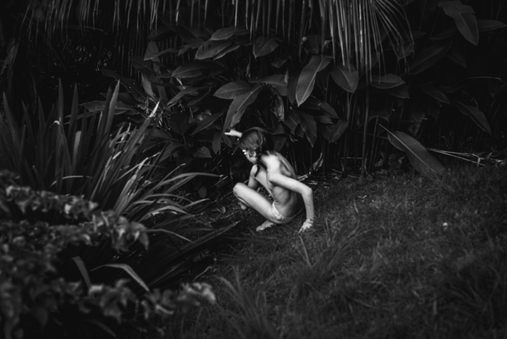 Slide between bushes