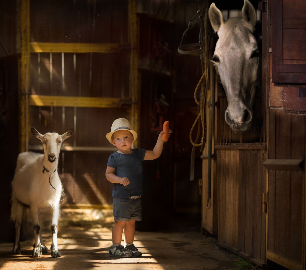 Photograph by Людмила Казакова