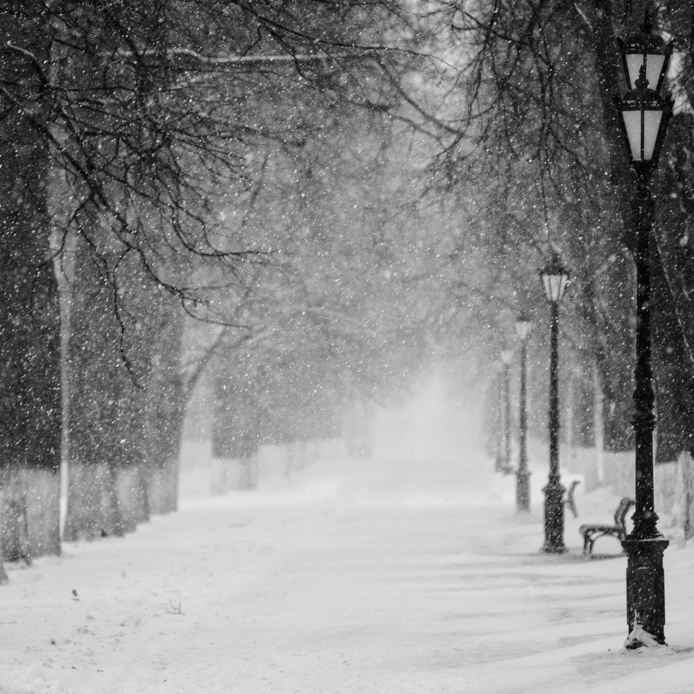 Photograph by Татьяна Пименкова