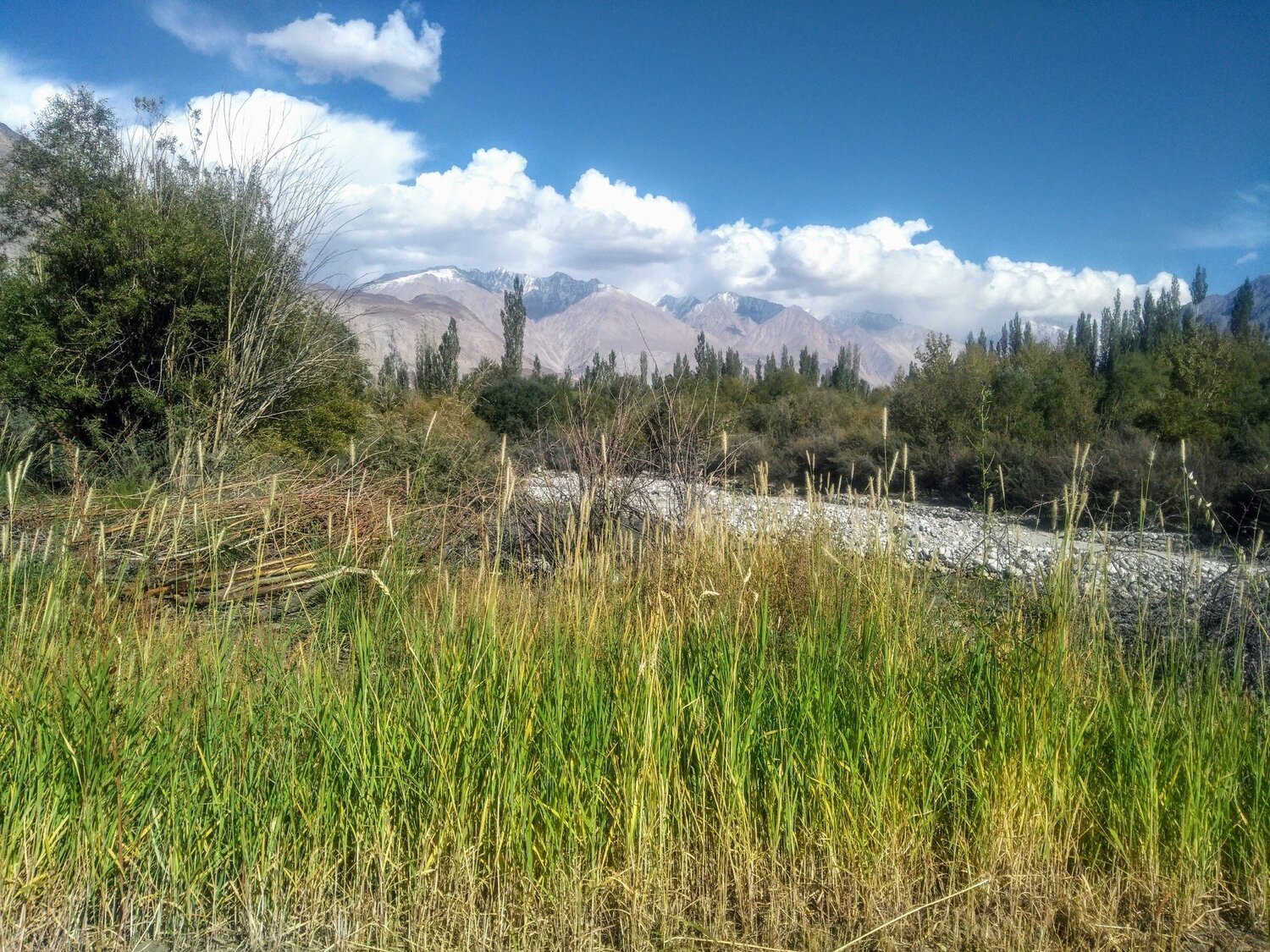 Beauty of Nature