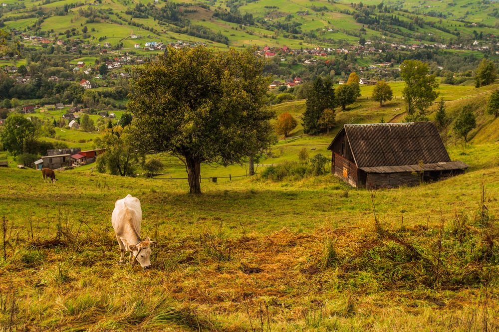 В Закарпатье