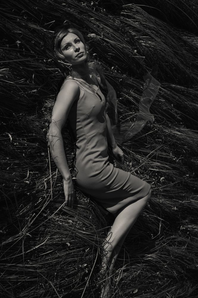 Photograph by Владимир Рожков