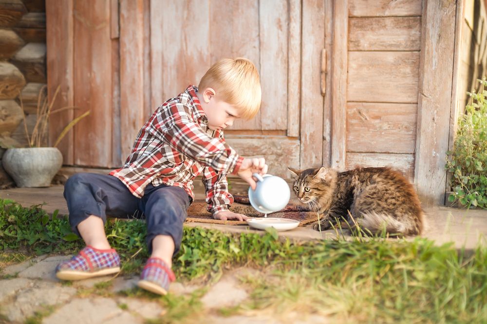 Маленькие друзья