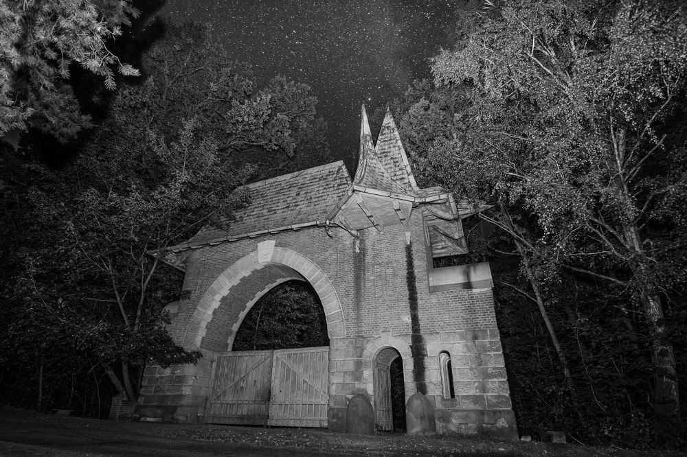 Легенды старого леса