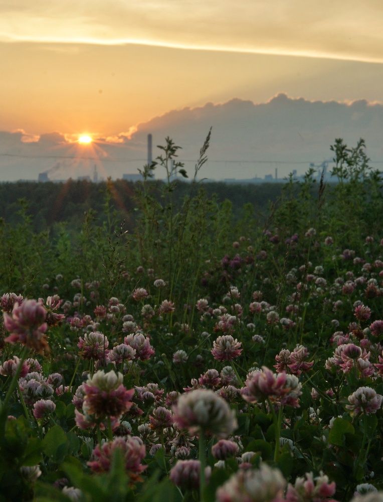 Photograph by Татьяна Пименкова