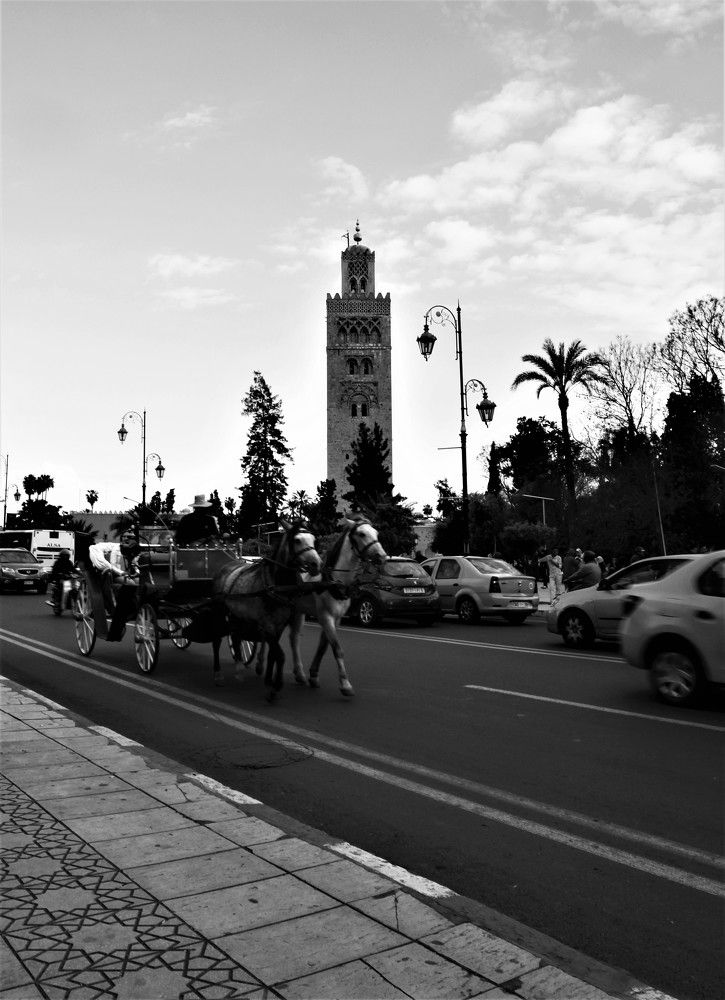 Between History and Modernity