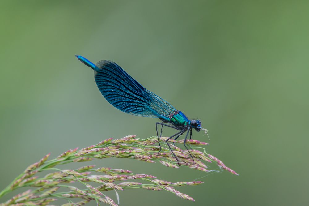 Photograph by Роман Дергунов
