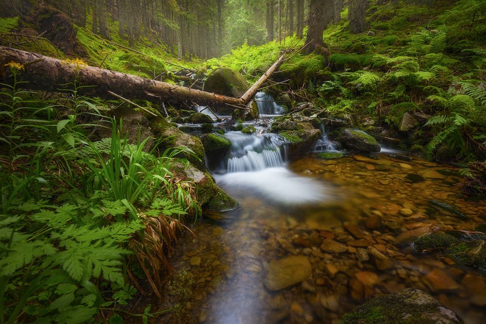 Горный поток