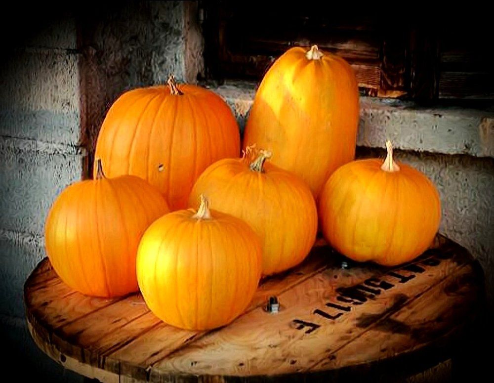 Pumpkins