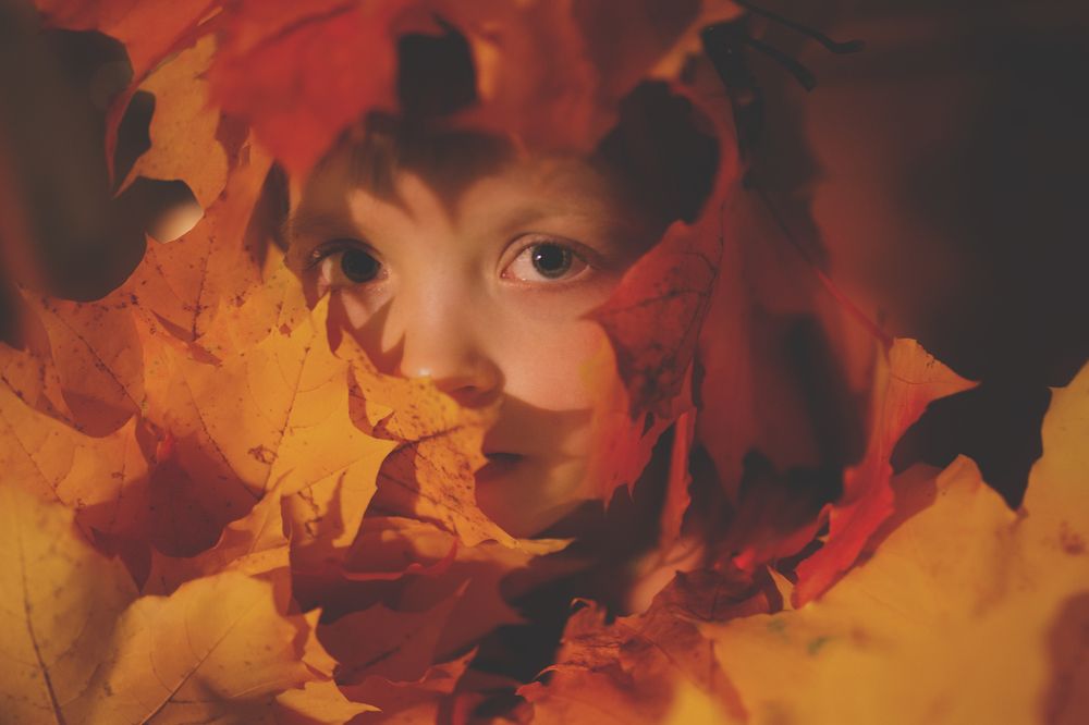 Photograph by Гилева Ольга