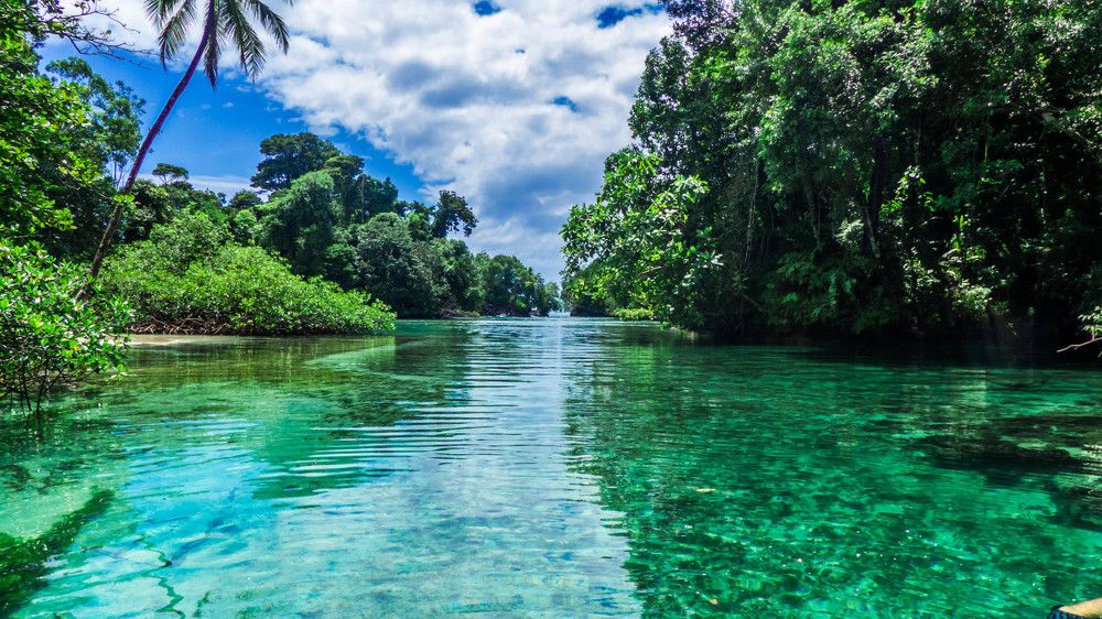 Canales de Veraguas