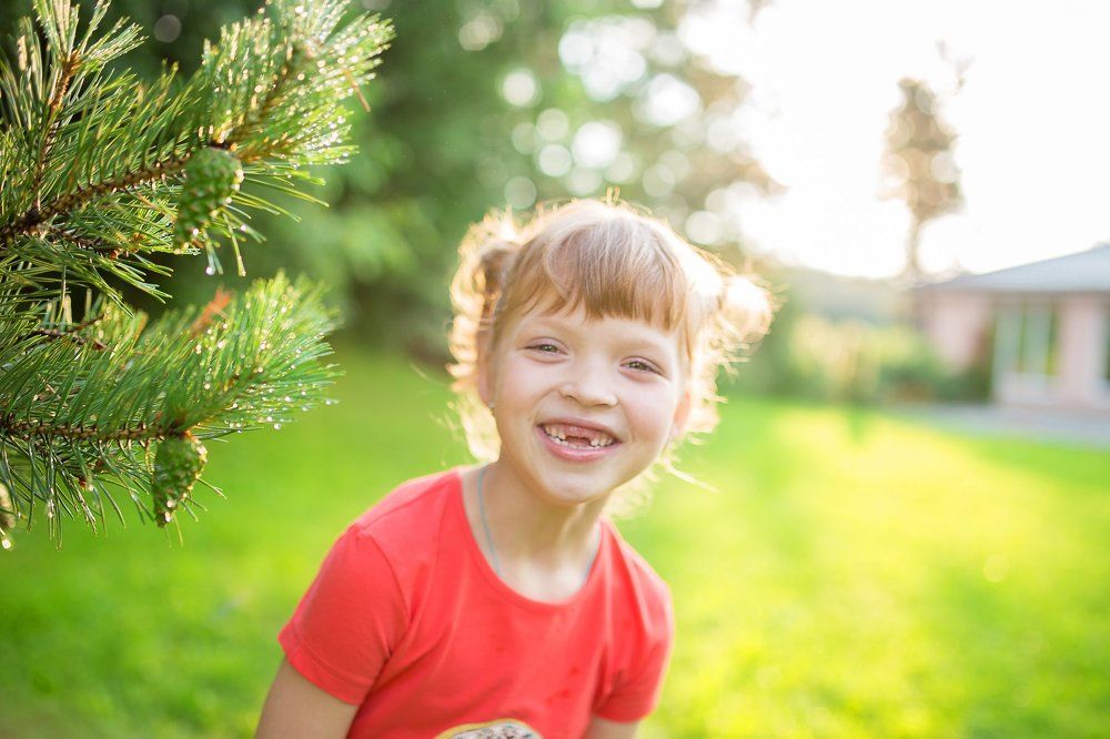 Photograph by Гилева Ольга