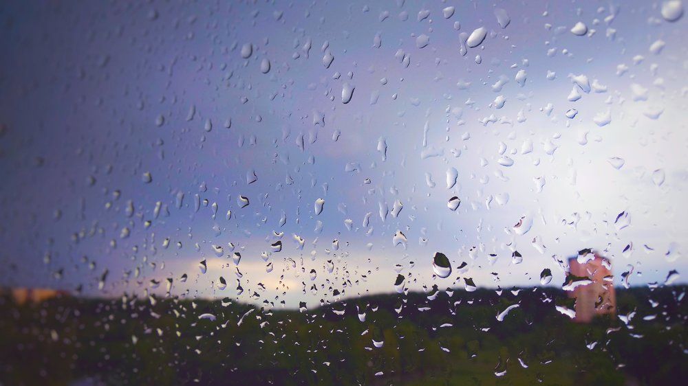 Рабочие будни, приятное мгновение