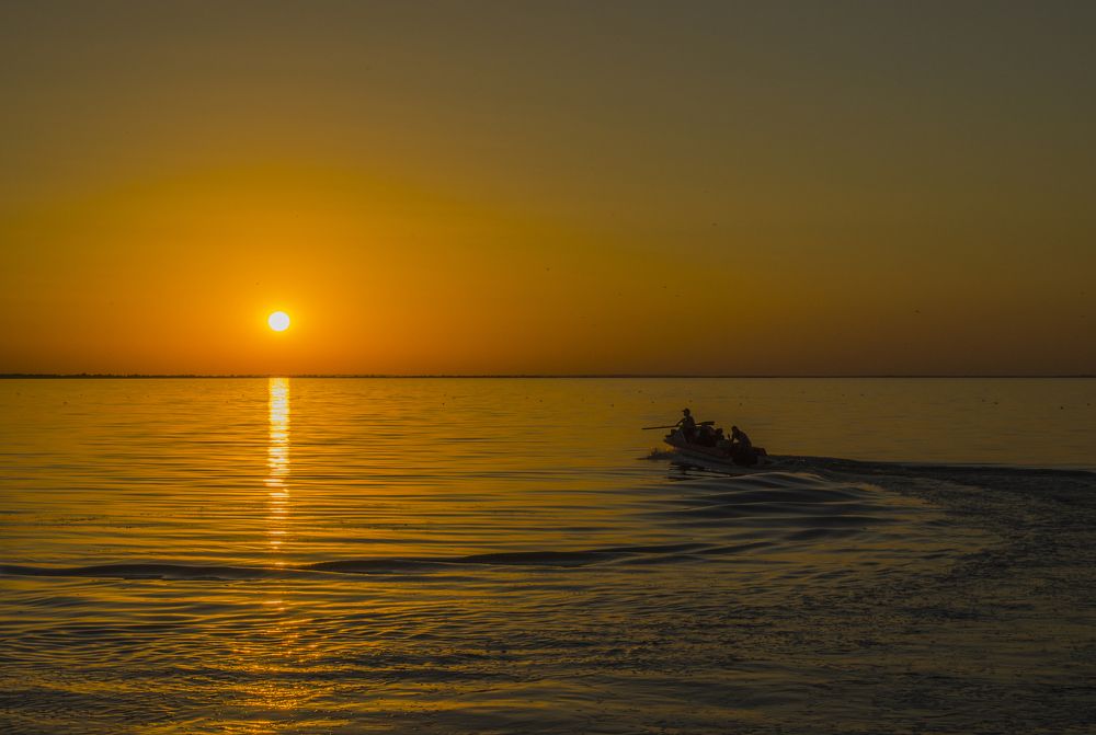 На встречу солнцу