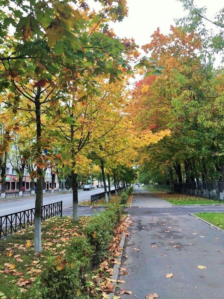 Золотой день в октябре