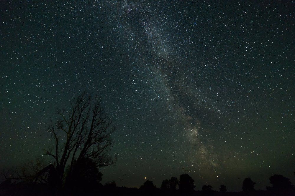 Photograph by Любовь Музычук