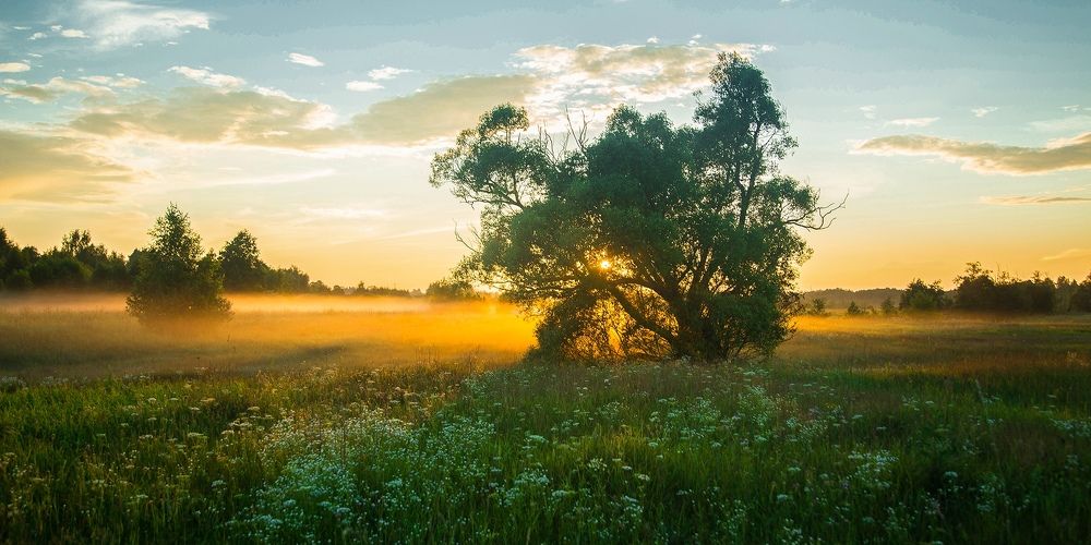 Photograph by Воробьёв Евгений