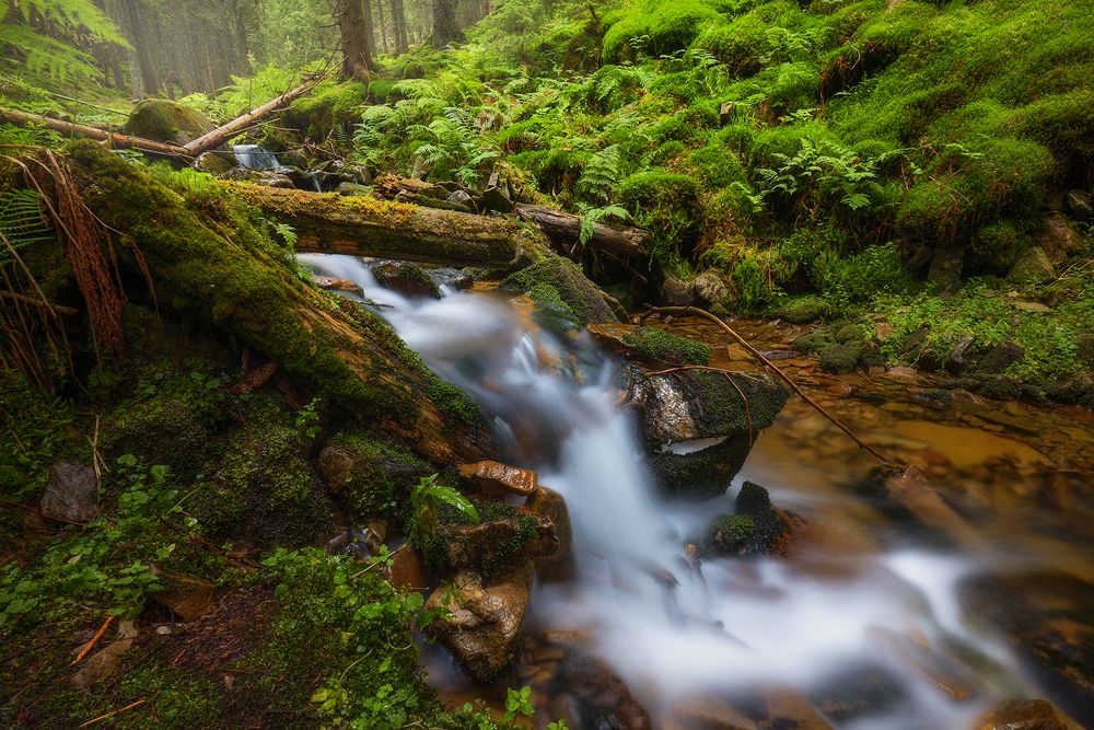 Photograph by Slava Lucky