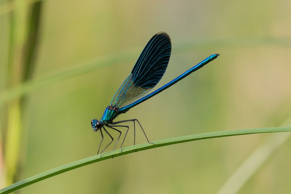 Photograph by Роман Дергунов