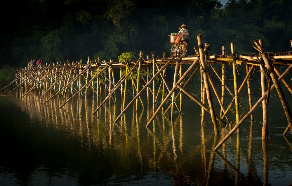 Bamboo bridge