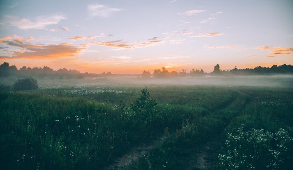 Photograph by Воробьёв Евгений