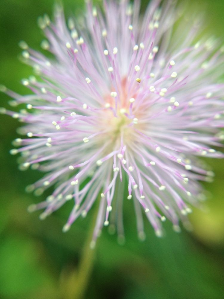 Different perspective