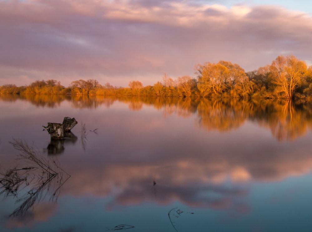 Photograph by Роман Фабричный