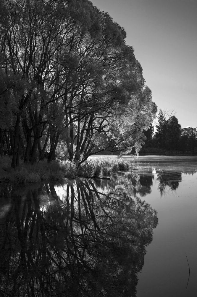 Стражи утра