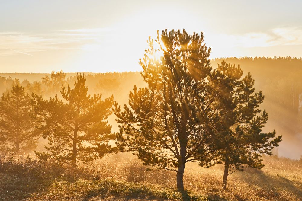 Photograph by Димтрий