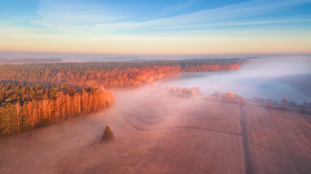 О мартовских туманах